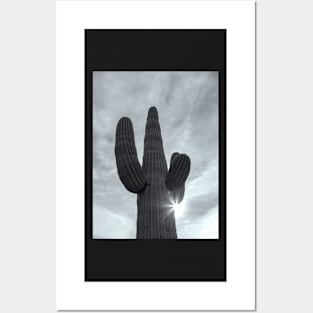 Saguaro bw Posters and Art